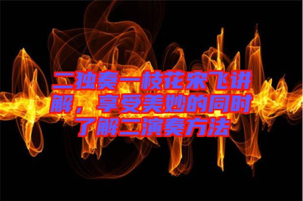 二獨奏一枝花宋飛講解，享受美妙的同時了解二演奏方法