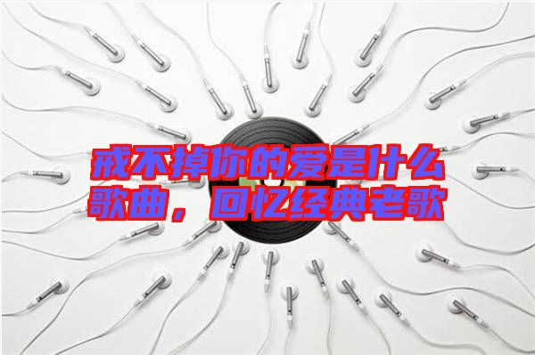 戒不掉你的愛是什么歌曲，回憶經(jīng)典老歌