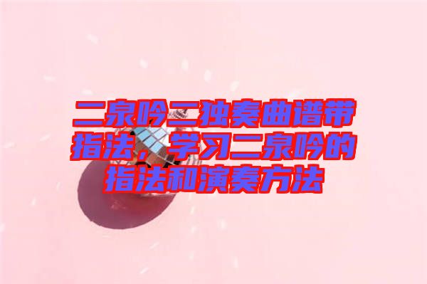 二泉吟二獨(dú)奏曲譜帶指法，學(xué)習(xí)二泉吟的指法和演奏方法