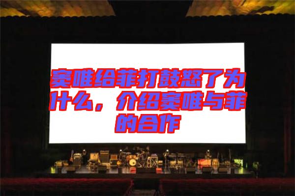 竇唯給菲打鼓怒了為什么，介紹竇唯與菲的合作
