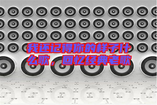 我還記得你的樣子什么歌，回憶經(jīng)典老歌