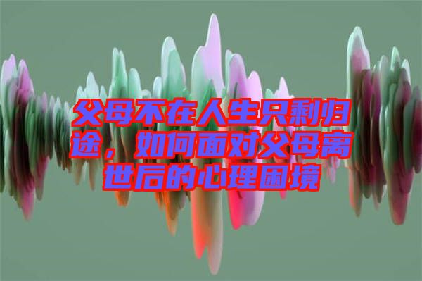 父母不在人生只剩歸途，如何面對(duì)父母離世后的心理困境