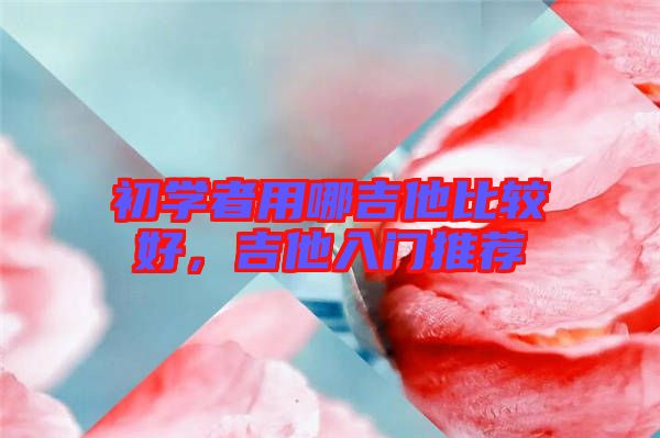 初學(xué)者用哪吉他比較好，吉他入門推薦