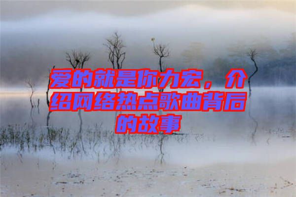 愛(ài)的就是你力宏，介紹網(wǎng)絡(luò)熱點(diǎn)歌曲背后的故事