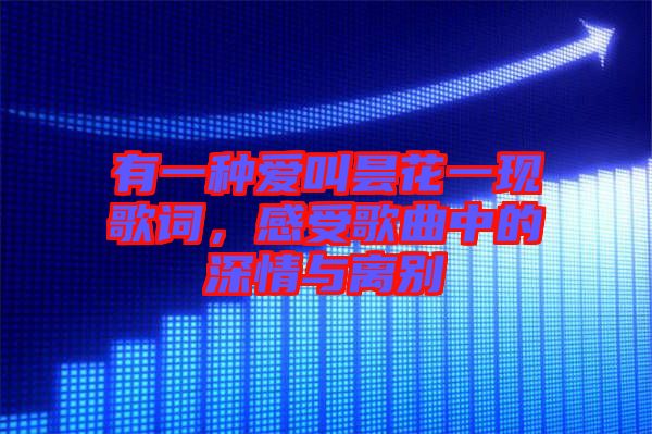 有一種愛叫曇花一現(xiàn)歌詞，感受歌曲中的深情與離別