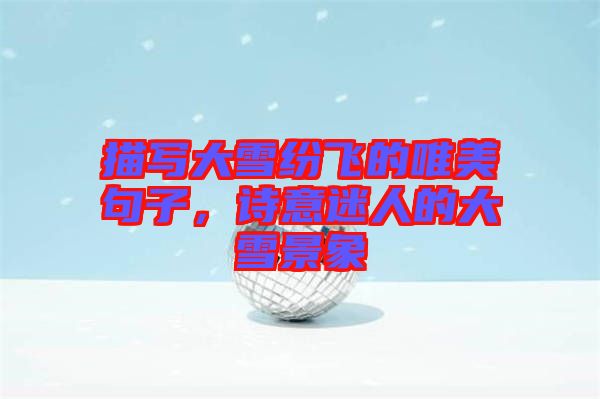 描寫大雪紛飛的唯美句子，詩意迷人的大雪景象