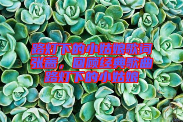 路燈下的小姑娘歌詞張薔，回顧經(jīng)典歌曲路燈下的小姑娘