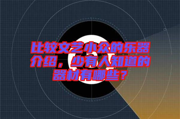 比較文藝小眾的樂器介紹，少有人知道的器材有哪些？