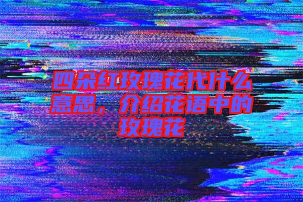 四朵紅玫瑰花代什么意思，介紹花語中的玫瑰花