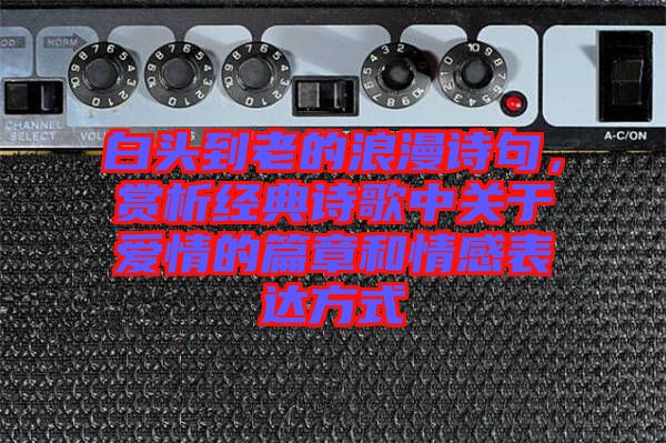 白頭到老的浪漫詩(shī)句，賞析經(jīng)典詩(shī)歌中關(guān)于愛(ài)情的篇章和情感表達(dá)方式