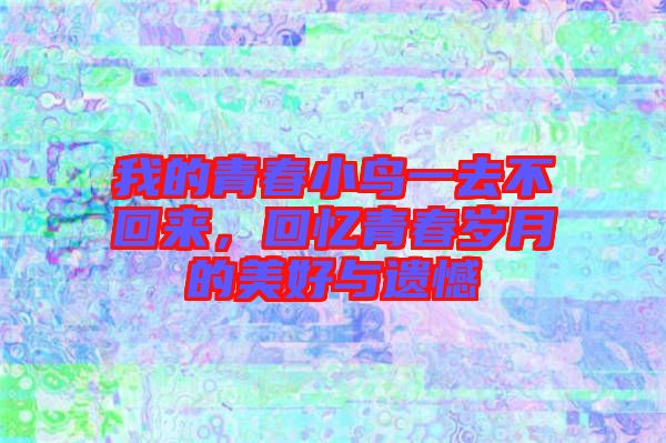 我的青春小鳥一去不回來，回憶青春歲月的美好與遺憾