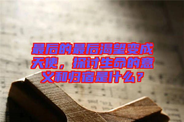 最后的最后渴望變成天使，探討生命的意義和歸宿是什么？
