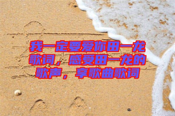 我一定要愛你田一龍歌詞，感受田一龍的歌聲，享歌曲歌詞