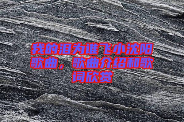 我的淚為誰飛小沈陽歌曲，歌曲介紹和歌詞欣賞
