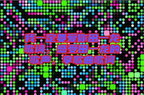 我一定要愛你田一龍歌詞，感受田一龍的歌聲，享歌曲歌詞