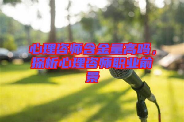 心理咨師含金量高嗎，探析心理咨師職業(yè)前景
