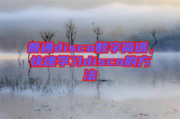 普通disco數字簡譜，快速學習disco的方法