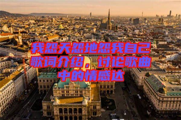 我怨天怨地怨我自己歌詞介紹，討論歌曲中的情感達(dá)
