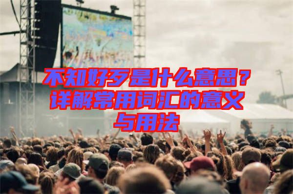 不知好歹是什么意思？詳解常用詞匯的意義與用法