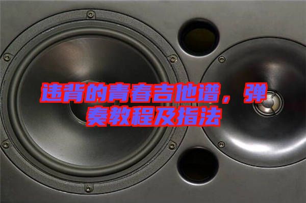 違背的青春吉他譜，彈奏教程及指法