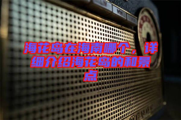 ?；◢u在海南哪個(gè)，詳細(xì)介紹?；◢u的和景點(diǎn)