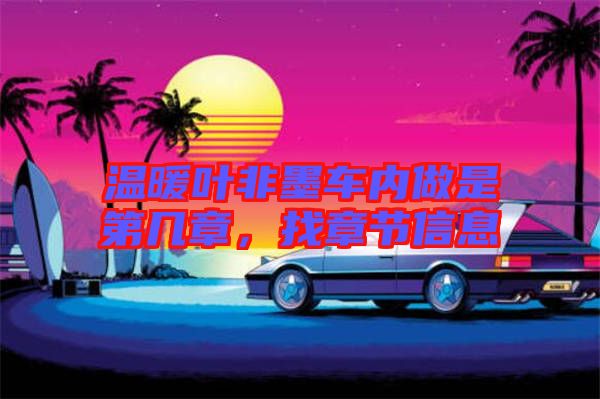 溫暖葉非墨車內(nèi)做是第幾章，找章節(jié)信息