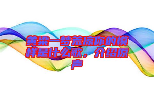 黃粱一夢荒涼你的模樣是什么歌，介紹原聲
