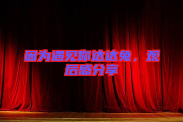 因為遇見你達(dá)達(dá)兔，觀后感分享