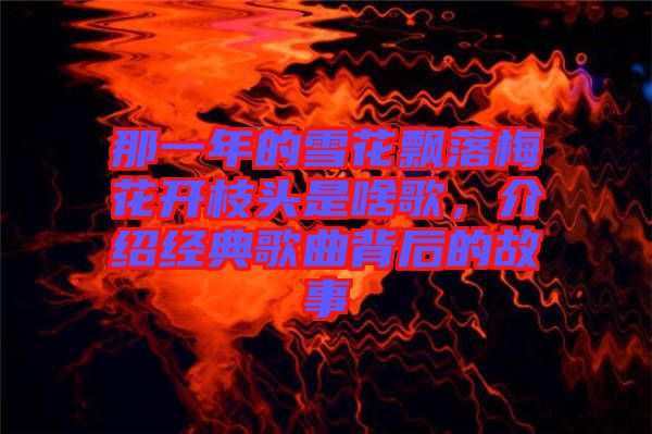 那一年的雪花飄落梅花開枝頭是啥歌，介紹經(jīng)典歌曲背后的故事