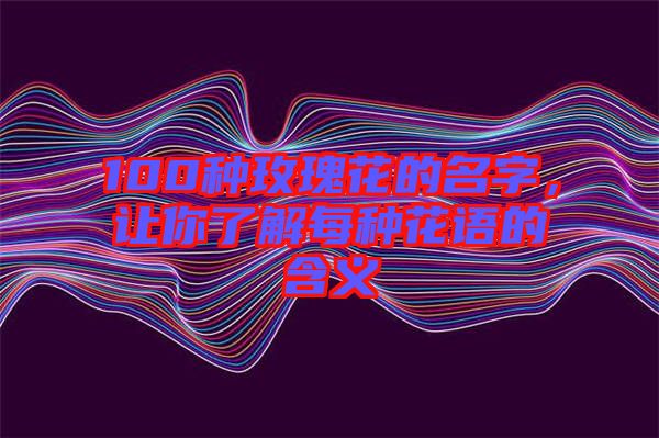 100種玫瑰花的名字，讓你了解每種花語的含義