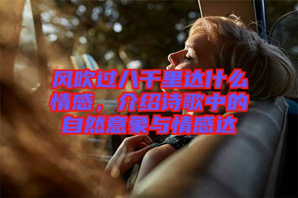 風(fēng)吹過八千里達(dá)什么情感，介紹詩歌中的自然意象與情感達(dá)