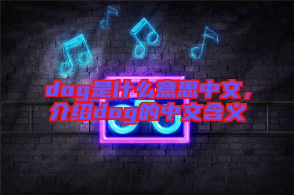 dog是什么意思中文，介紹dog的中文含義