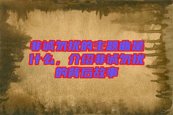 非誠勿擾的主題曲是什么，介紹非誠勿擾的背后故事