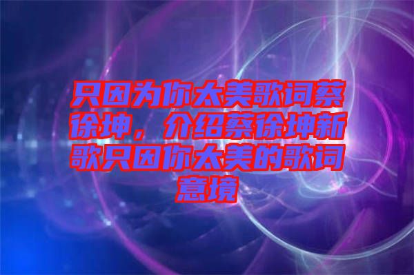 只因?yàn)槟闾栏柙~蔡徐坤，介紹蔡徐坤新歌只因你太美的歌詞意境