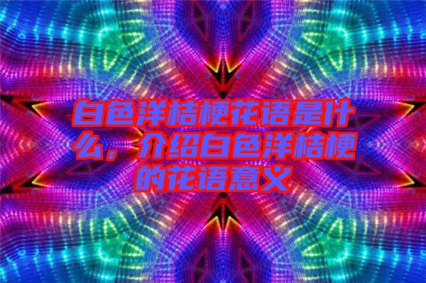白色洋桔?；ㄕZ是什么，介紹白色洋桔梗的花語意義
