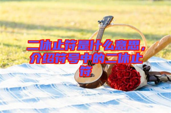 二休止符是什么意思，介紹符號中的二休止符