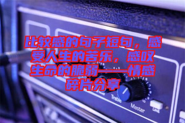 比較感的句子短句，感受人生的苦樂(lè)，感嘆生命的脆弱——情感碎片分享