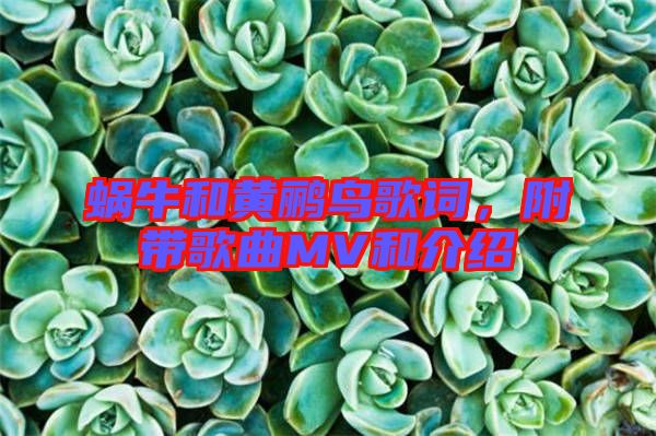 蝸牛和黃鸝鳥歌詞，附帶歌曲MV和介紹
