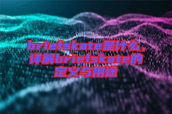 briefskate是什么，詳解briefskate的定義與用途
