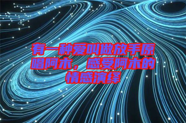 有一種愛叫做放手原唱阿木，感受阿木的情感演繹