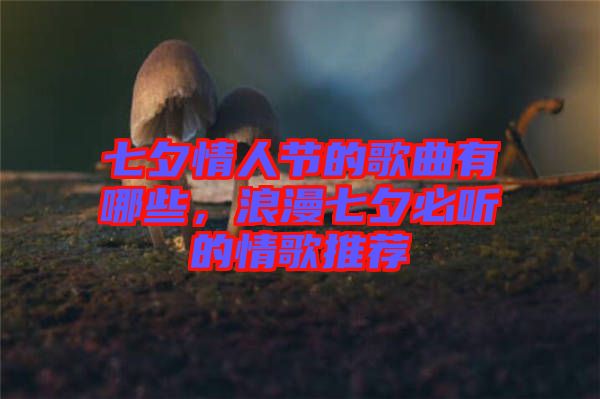 七夕情人節(jié)的歌曲有哪些，浪漫七夕必聽的情歌推薦