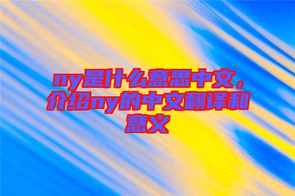ny是什么意思中文，介紹ny的中文翻譯和意義