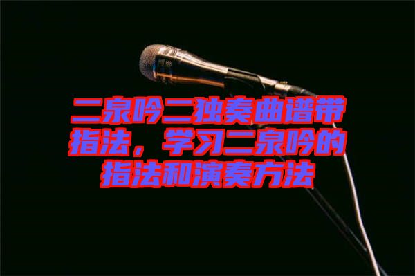 二泉吟二獨(dú)奏曲譜帶指法，學(xué)習(xí)二泉吟的指法和演奏方法