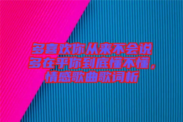 多喜歡你從來不會說多在乎你到底懂不懂，情感歌曲歌詞析