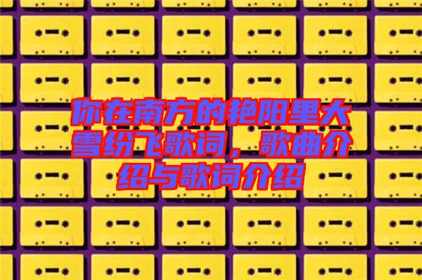 你在南方的艷陽里大雪紛飛歌詞，歌曲介紹與歌詞介紹