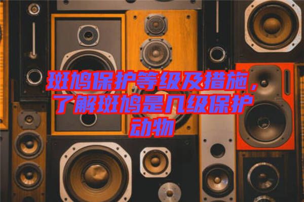 斑鳩保護(hù)等級及措施，了解斑鳩是幾級保護(hù)動物
