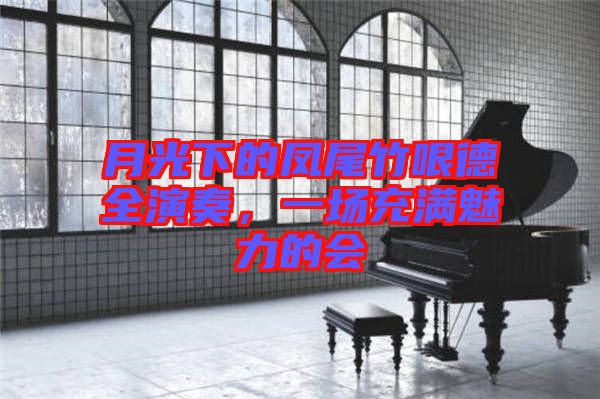 月光下的鳳尾竹哏德全演奏，一場(chǎng)充滿魅力的會(huì)