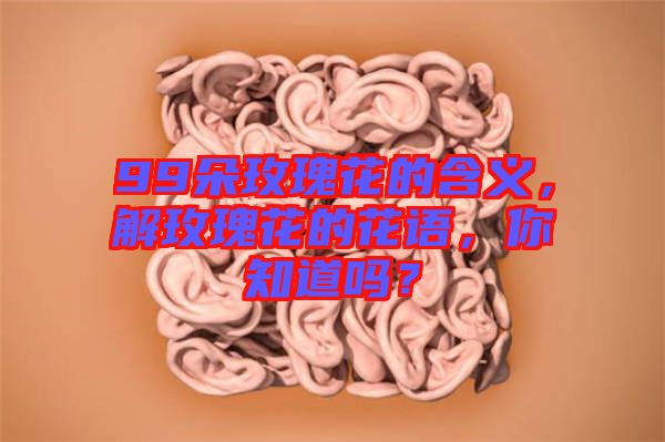 99朵玫瑰花的含義，解玫瑰花的花語，你知道嗎？