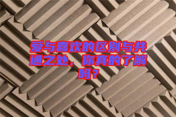 愛與喜歡的區(qū)別與共通之處，你真的了解嗎？