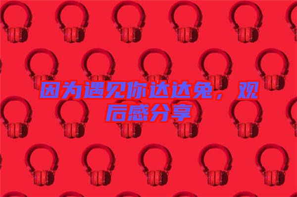 因?yàn)橛鲆娔氵_(dá)達(dá)兔，觀后感分享